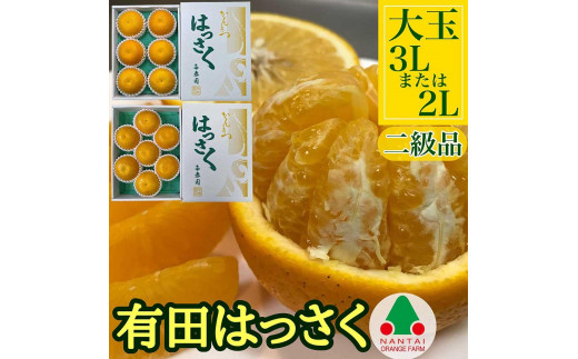 
ちょっと 傷あり 手詰め 有田 はっさく 大玉 3L × 6玉 または 2L × 7玉 南泰園
