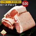 【ふるさと納税】大分県産 ブランド豚 奥豊後豚（米の恵み）ロース ブロック 5.0kg 2.5kg×2 肉 豚 豚肉 国産 とんかつ トンテキ ブロック肉 かたまり 塊 かたまり肉 BBQ キャンプ 冷凍 大分県 竹田市 送料無料