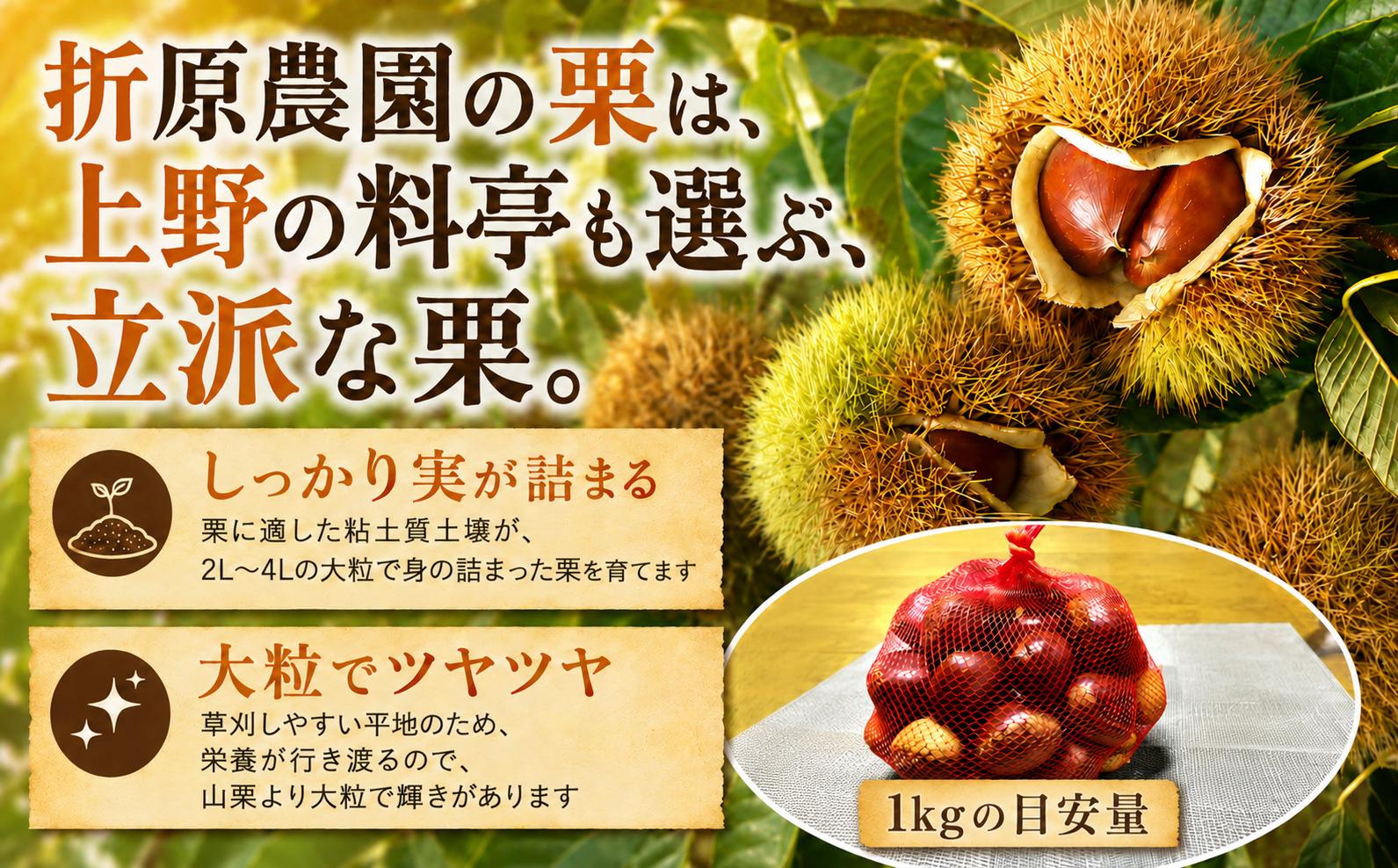 地球にやさしい方法で栽培され、都内料亭にも出荷している生栗を2kgお届けします。