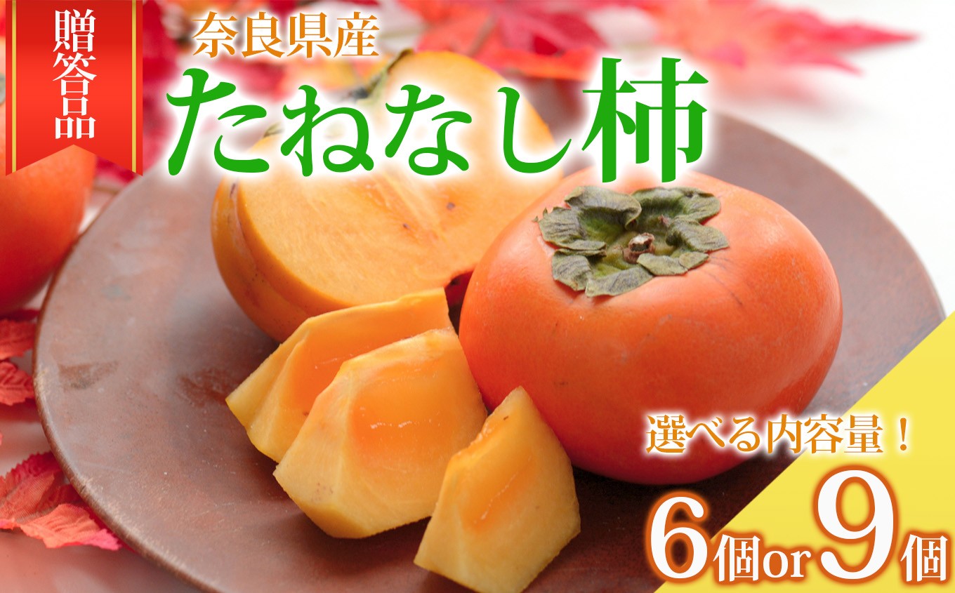 
            たねなし柿 贈答品 6個 or 9個 | フルーツ くだもの 果物 柿 カキ かき 贈り物 贈答用 ギフト用 フルーツギフト 贈答 人気 国産 産地直送 奈良県 五條市 種なし タネなし 10月 11月 秋 旬 食物繊維 豊富 美容 健康  農家直送 なかい農園 お取り寄せ グルメ 送料無料  まったり とろける 美味しい ギフト プレゼント 果実 甘い 食べやすい
          