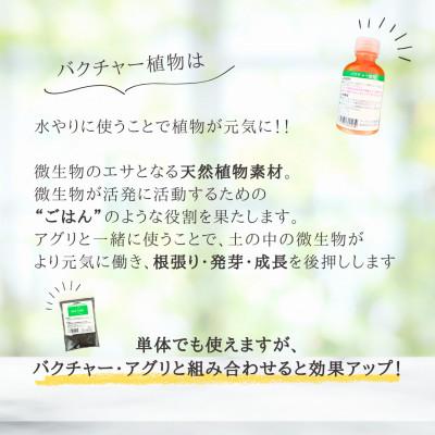 ふるさと納税 津山市 バクチャー植物【植物の栄養材】 |  | 01
