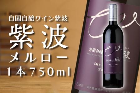 紫波メルロー【自園自醸ワイン紫波】（AL047-2）