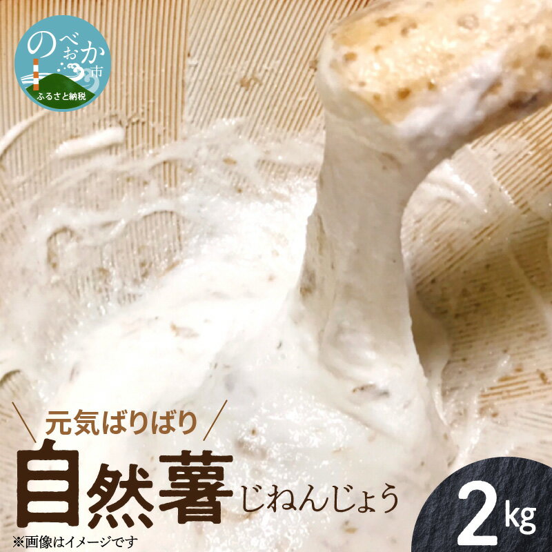 【ふるさと納税】自然薯 元気ばりばり 2kg 2〜3本 ヤマイモ とろろ じょよ ねばり 滋養 栄養価 食物繊維 ビタミンE レシピ同封 ご飯 麦とろ おつまみ 鉄板焼き 国産 お取り寄せ 食品 宮崎県 延岡市 送料無料