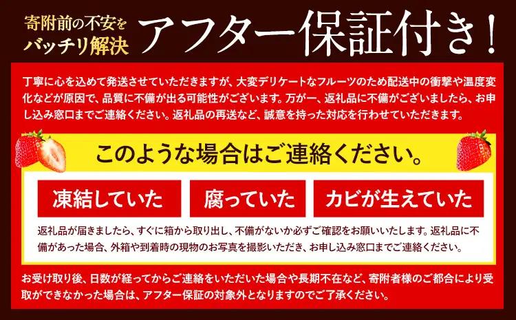 あまおう いちご 1500g【配送不可地域：離島】