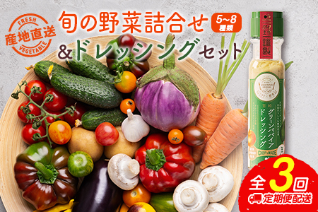 産地直送！旬の野菜（5～8種類）＆ドレッシング セット 3か月定期便 おまかせ 詰合せ 宮崎県新富町産【E213】