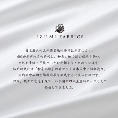 ふるさと納税 和泉市 (43×63cm)ポーランド産マザーグースダウンピロー(羽毛枕)95%&ピローケース:ピュアホワイト |  | 03