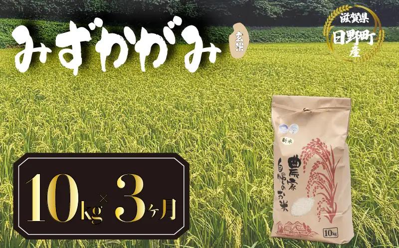 【先行予約】令和8年産 新米 みずかがみ 10kg 定期便 3ヶ月 玄米 米 