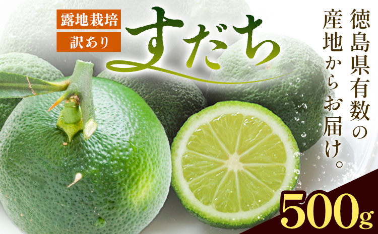 ＜2026年予約受付＞ 生産量日本一!! ちょっとキズでも香りは満点 徳島県産 訳ありすだち 500g《9月上旬-9月末頃に出荷予定(土日祝除く)》徳島県 佐那河内村 すだち サイズ不揃い B級すだち すだち キズあり すだち 不揃い