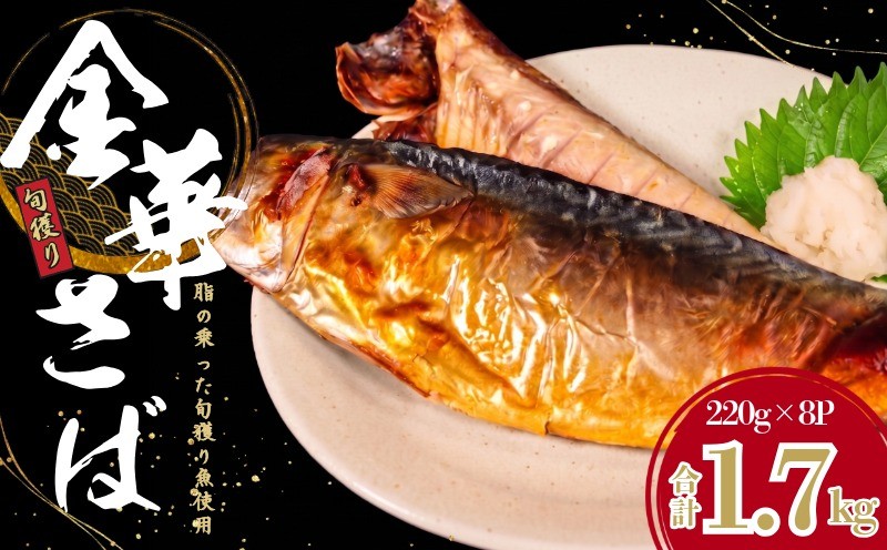 
                  さばフィーレ 約 1.7kg （ 220g × 8パック ） 金華さば さば 鯖 サバ さばフィーレ サバフィーレ さばフィレ サバフィレ 切り身 切身 塩さば 塩鯖 小分け 個包装 真空 真空パック 個別冷凍 惣菜 おかず 塩焼き 冷凍 冷凍品 長期保存 お取り寄せ グルメ 魚 大容量 ギフト ふるさと納税 ふるさと納税鯖 送料無料 千葉県 銚子市 武内商店
                