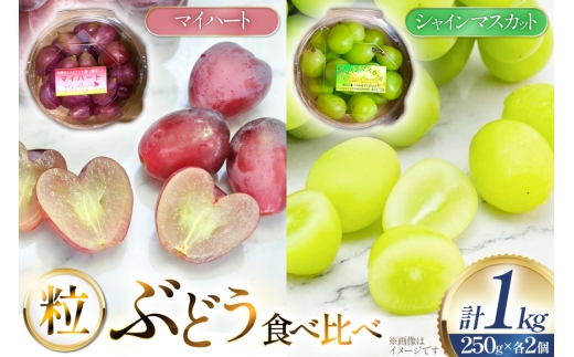 【期間限定発送】 ぶどう 食べ比べ シャインマスカット マイハート 250g 各2個 計4個 1kg セット [治右衛門果樹園 山形県 高畠町 tk06ays830015] ブドウ 葡萄 詰め合わせ セット 山形 フルーツ 果物 小分け 個包装 産地直送 農家直送