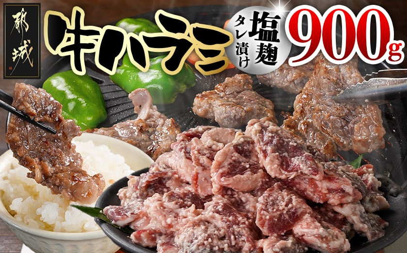 
                  牛ハラミ 塩麹タレ漬け900g_LG8J-33-025-900g_(都城市) 外国産 味付き牛ハラミ 300gパック 真空 小分け 900g
                