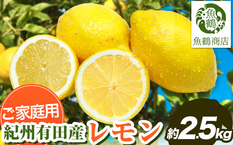 【先行予約】【ご家庭用 訳あり】紀州 有田産 レモン 約 2.5kg 魚鶴商店《3月上旬-3月中旬頃出荷》和歌山県 日高町 柑橘 れもん 檸檬 わけあり 家庭用 レモン