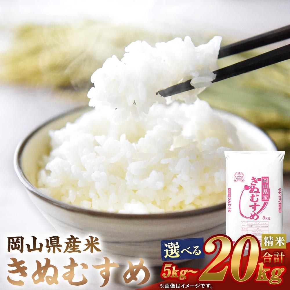 【ふるさと納税】＜選べる内容量＞【令和8年産】 岡山県産米 きぬむすめ 1袋あたり5kg 5kg（1袋） / 計10kg（2袋） / 計15kg（3袋） / 計20kg（4袋） お米 米 こめ 白米 精米 単一原料米 国産 岡山県 倉敷市 送料無料 【2026年10月上旬から2027年8月下旬迄発送予定】