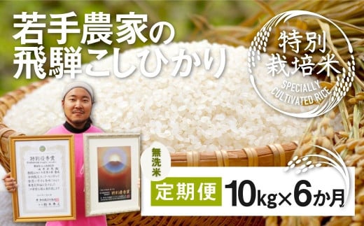 《先行予約》令和8年産【無洗米】米 定期便 特別栽培米コシヒカリ 10kg×6ヶ月 合計60㎏ 池本農園 若手受賞農家のこだわりのお米  syun111