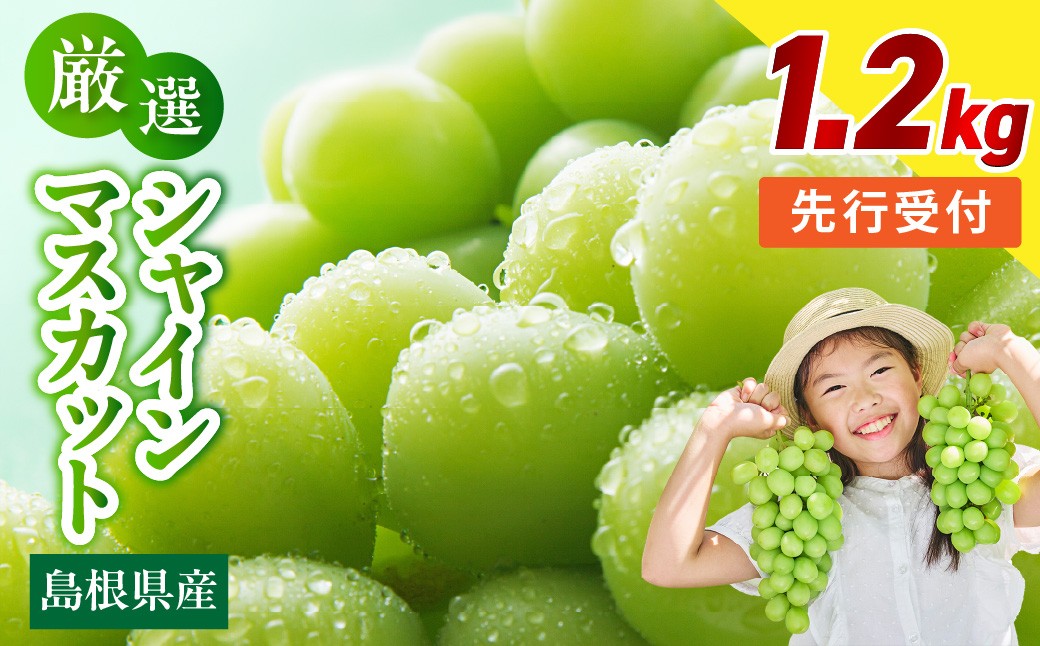 
                  【先行予約】【数量限定】島根県産 シャインマスカット 1.2kg 【215_0003】
                