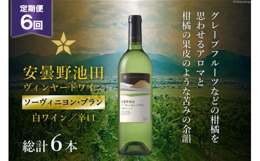 6回 定期便 白ワイン サッポロ グランポレール 安曇野池田ヴィンヤード「ソーヴィニヨン・ブラン」750ml 総計6本 [池田町ハーブセンター 長野県 池田町 48110616] 白 ワイン 辛口 お酒 酒