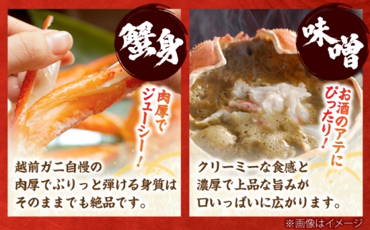 【先行予約/3月配送】訳アリ 脚折れあり 越前がに 600ｇ×1ハイ 小浜市 / まるほ商店【配送不可地域：北海道・沖縄・離島】 [BFCS062-3]