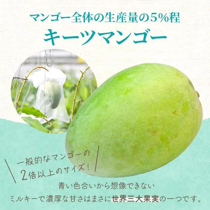 《先行予約 2027年発送》『天使のマンゴー』宮古島産キーツマンゴー  1.6kg （2玉）【ご贈答用】「LA MANGUE BLEUE」農家直送（GZ004）