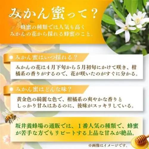 みつばちの雫　国産みかん蜂蜜　500g+300g_調味料 はちみつ  ハチミツ 蜂蜜_【1481075】