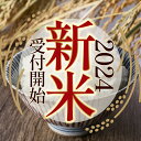 【ふるさと納税】【定期便も】令和6年 新米【ふるさと納税】選べる栃木のお米5種類（ミルキークイーン、とちぎの星、ゆうだい21、こしひかり、コシヒカリ玄米）【栃木県共通返礼品】 | ふるさと 納税 お米 精米 白米 玄米 大粒 送料無料 栃木県