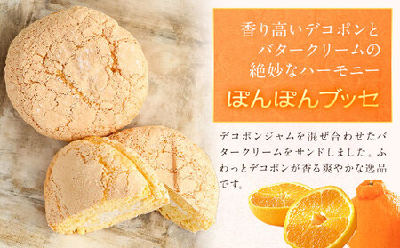 菊池銘菓 ブッセシリーズ詰め合わせセット 1箱(12個入り)