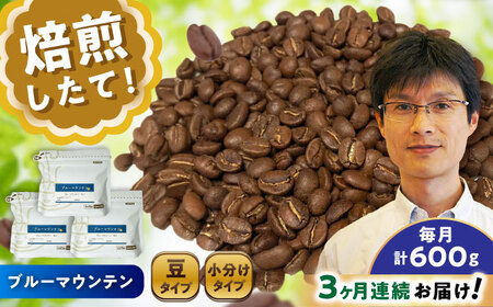 【全3回定期便】ブルーマウンテンNo.1　コーヒー豆　200g×3個 (豆)  / コーヒー  ドリップ  豆 / 瀬戸市 / Ｃｏｆｆｅｅ　ＳＡＫＵＲＡ[BBAB079]