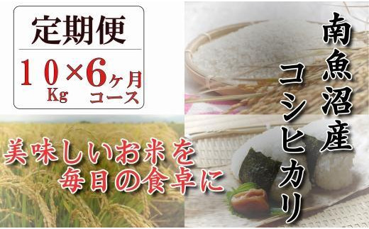 
令和５年産【頒布会】南魚沼産コシヒカリ「八龍の尾」１０ｋｇ×全６回
