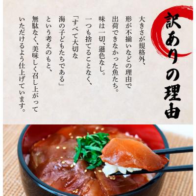 ふるさと納税 田野町 これが魚屋の漬け丼だ! 〜ブリ〜 80g×10P ★訳あり★ |  | 02