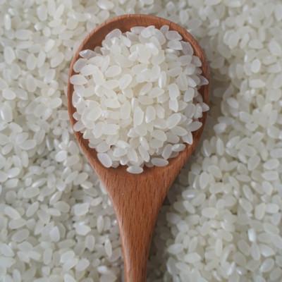 ふるさと納税 藤岡市 有機こしひかり白米450g×12袋(令和7年産)