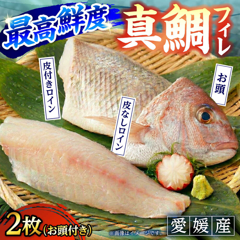 【ふるさと納税】愛媛県産養殖真鯛フィレ2枚（お頭付き冷凍） ／ 魚 お魚 さかな おさかな 食品 人気 おすすめ 送料無料 たい タイ 刺身 国産 産地直送 贈り物 ギフト プレゼント 四国 愛媛県 内子町 まだい 【愛媛県漁業協同組合】[BKBA001] 17000 17000円