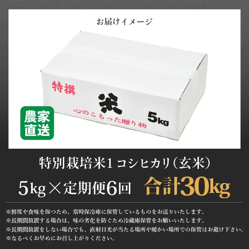 【先行予約】【令和8年産 新米】定期便《6ヶ月連続お届け》コシヒカリ 玄米 5kg × 6回（計30kg）特別栽培米 農薬不使用 化学肥料不使用 ／ 残留農薬ゼロ 高品質 鮮度抜群 福井県産 ブランド