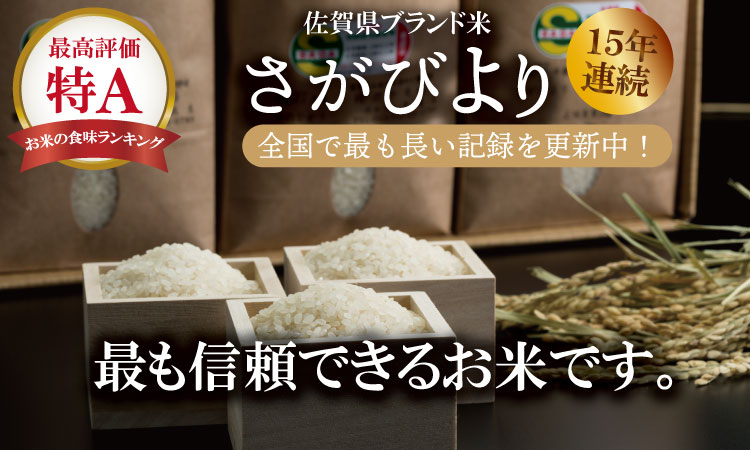 【新米予約】R７年度産（令和７年）特別栽培米 佐賀ブランド 米「 さがびより 」10kg（5kg×2袋）田中農場 精米 白米 10キロ 単位 もちもち 食感 冷めても 美味しい お一人様 ご家族用 ラ