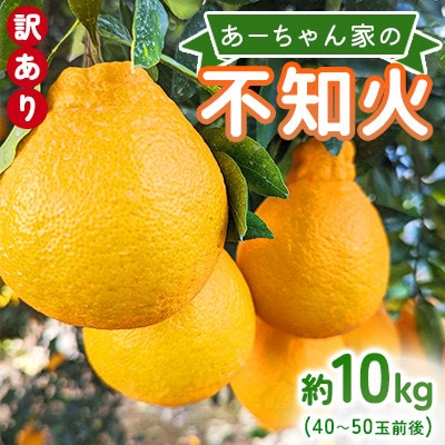 【先行予約2026年4月上旬～発送予定】あーちゃん家の不知火 訳あり 約10kg【早川果樹園】【1696038】