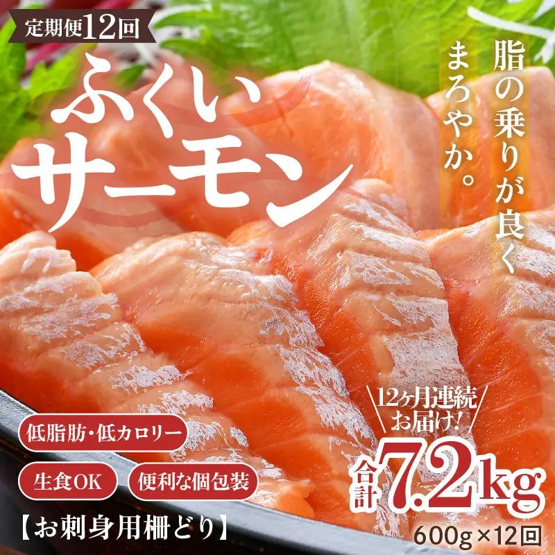 《定期便12回》ふくいサーモン 柵どり 150g×4パック 計600g ＜度抜群！＞ ／サーモン 鮭 [aw002-o001]