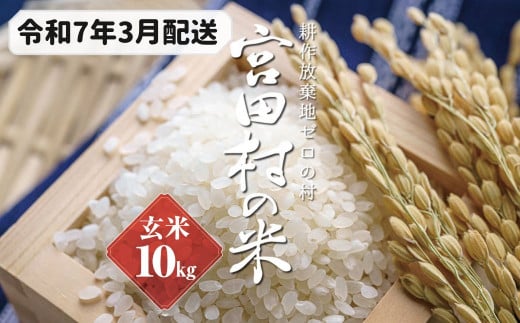 【予約受付】【令和６年米】【新米】長野県産　減農薬栽培コシヒカリ／玄米／10kg・9,000円／令和7年3月配送