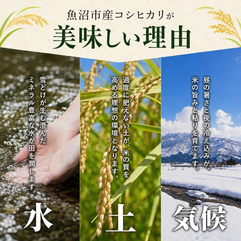 雪室貯蔵 魚沼産 コシヒカリ 無洗米 2.5kg 3ヶ月 連続お届け 米 定期便 こしひかり 定期 新潟 魚沼 魚沼産コシヒカリ 魚沼産こしひかり お楽しみ  新潟県