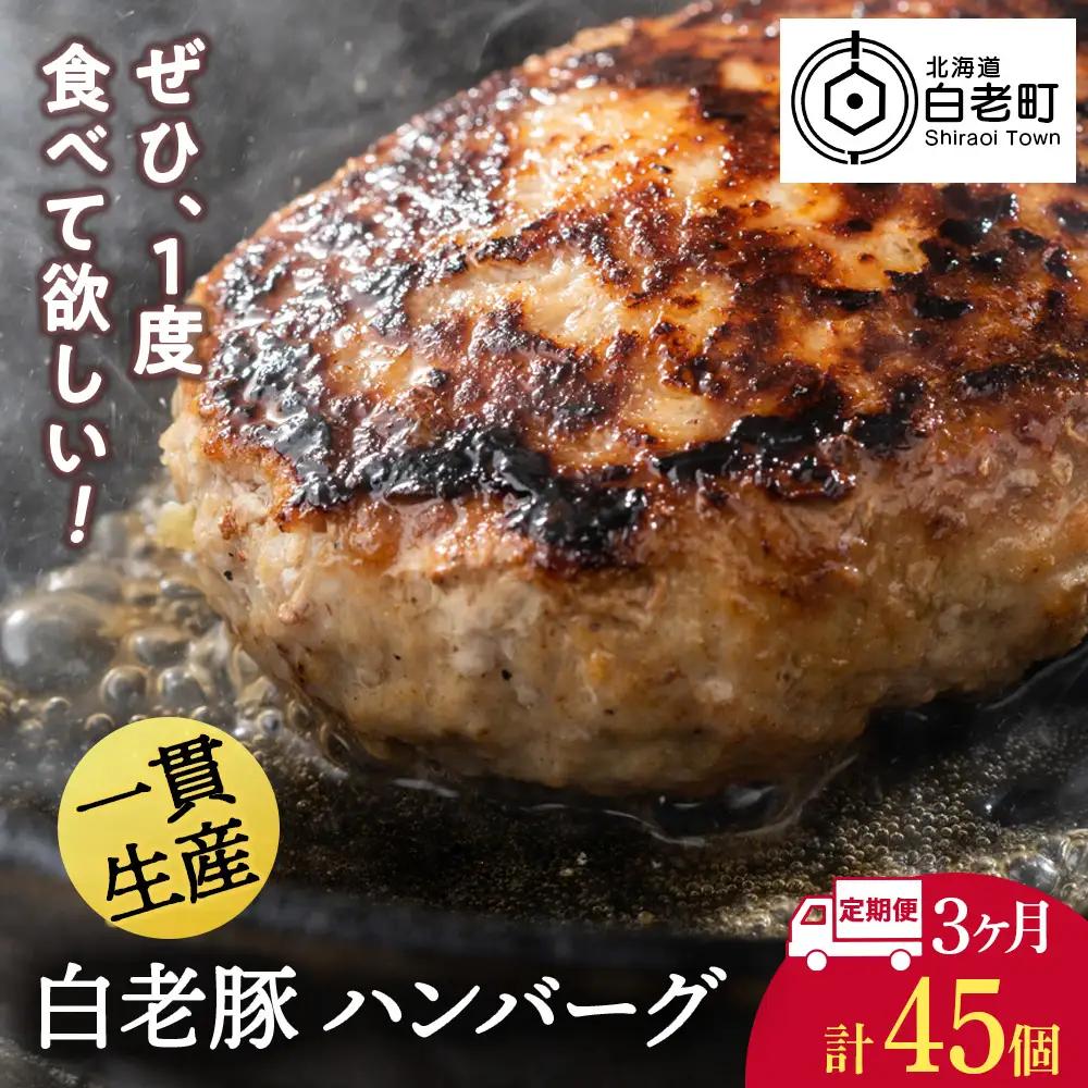 【定期便 3カ月】 北海道産 白老豚 ハンバーグ 120ｇ×15個 セット BV034