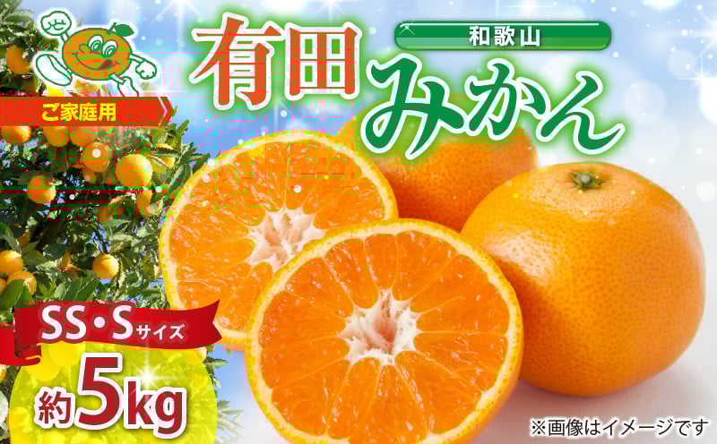 【先行予約】【ご家庭用】和歌山 有田みかん 約5kg (SS、Sサイズ)【湯浅町】