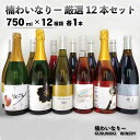 【ふるさと納税】楠わいなりー厳選12本セット (750ml×12種類 各1本) 《楠わいなりー》飲み比べ ワイン お酒 洋酒 ぶどう 葡萄 ブドウ