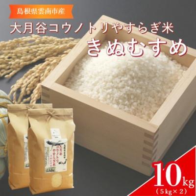 ふるさと納税 雲南市 島根県雲南市「大月谷コウノトリやすらぎ米」きぬむすめ　10kg(5kg×2)