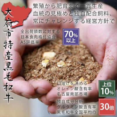 ふるさと納税 大府市 【大府市特産】A5黒毛和牛『下村牛』黒毛和牛肉100%手作りハンバーグ6枚入 |  | 02