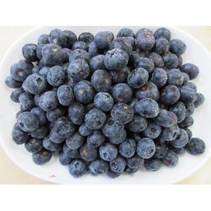 ブルーベリー  冷凍 1kg フルーツ ベリー 果物
