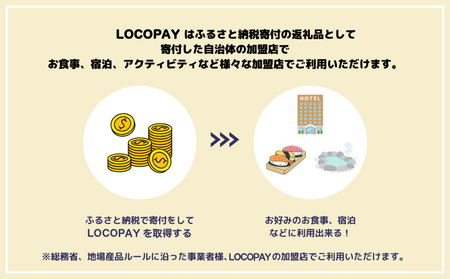 LOCOPAYデジタル返礼ポイント【30,000ポイント】_B167-004