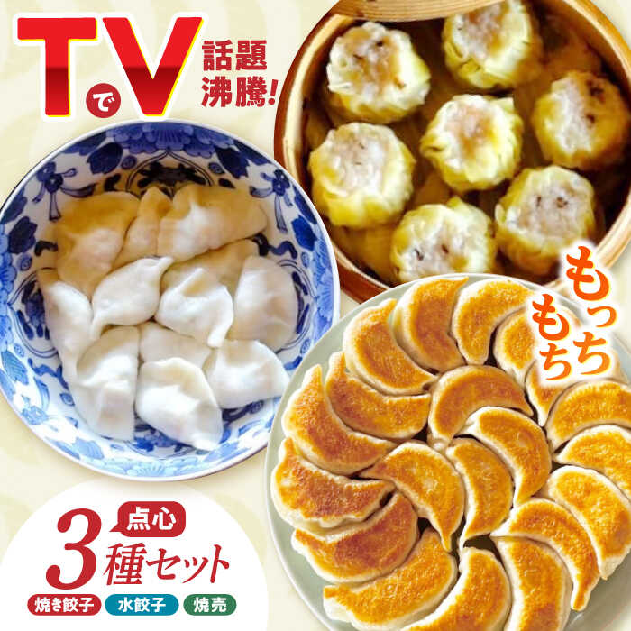 【ふるさと納税】＜TVで紹介＞大容量 手作り点心3種セット 計34個（焼き餃子・水餃子・焼売）/ ギョウザ ぎょうざ 餃子 焼餃子 水餃子 シュウマイ しゅうまい 焼売 食べ比べ 冷凍 / 諫早市 / 餃子のかわしも [AHBM001]