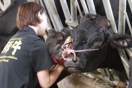 飛騨市産 5等級飛騨牛 盛り合わせパック ごちゃまぜ ミックス 300g ギフト お中元 お歳暮[Q352]