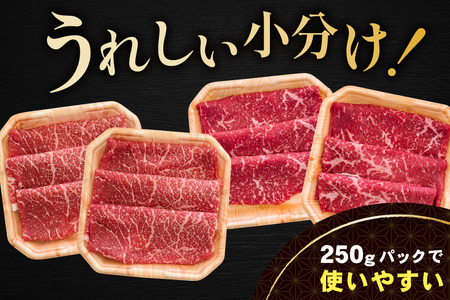別海和牛 赤身肉スライス（モモ ウデ）1kg（250g×2パック×2箱）FF0000038（肉 にく 牛肉 北海道 別海町 しゃぶしゃぶ すき焼き ふるさと納税）