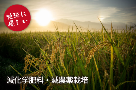 名水の里 越前大野の棚田清流米コシヒカリ 2kg×2袋 減農薬 減化学肥料