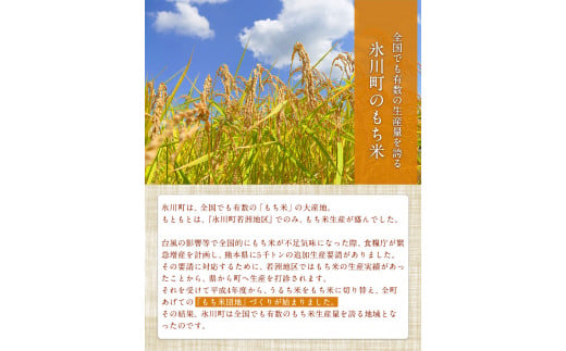 蓮華の花園(もち米) 5kg 精米 JAやつしろカントリー利用組合 氷川町《30日以内に出荷予定(土日祝除く)》---sh_jacomoti_30d_23_12000_5kg---