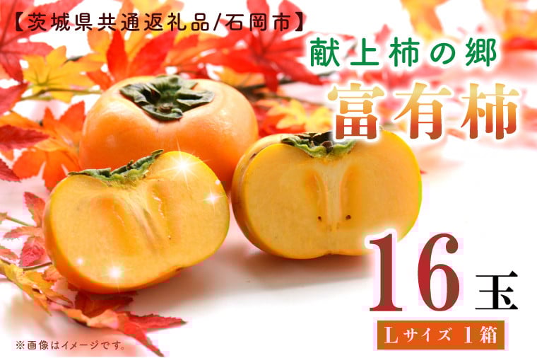 
            【11月中旬より発送】献上柿出荷組合の富有柿L 16玉【茨城県共通返礼品／石岡市】【柿 かき カキ フルーツ 果物 くだもの 八郷柿 ふるさと納税 水戸市 茨城県】（GP-1-3）
          