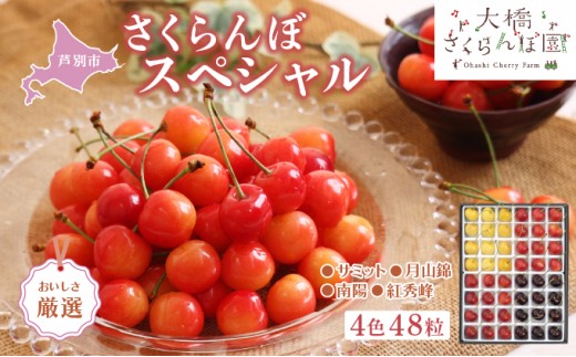 
                  【 先行受付 】さくらんぼ 厳選 さくらんぼスペシャル 4色 48粒 大橋さくらんぼ園 化粧箱入り ギフト お中元 贈り物 サミット 月山錦 南陽 紅秀峰 サクランボ チェリー 果物 果物類 フルーツ デザート 北海道 芦別市
                